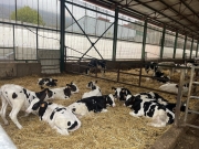 VIAJE A NAVARRRA PROSPECCI?N TUR?STICA A PLAZAOLA ENTE GESTOR GATA HURDES 14-17 DE OCTUBRE