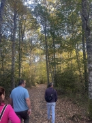 VIAJE A NAVARRRA PROSPECCI?N TUR?STICA A PLAZAOLA ENTE GESTOR GATA HURDES