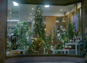 FLORISTERÍA LA CAMELIA