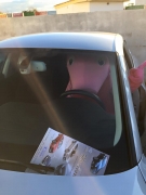 XI FERIA DE STOCKS DE MORALEJA Y SIERRA DE GATA