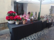 EL COMERCIO SALE A LA CALLE -DÍA 9 DE DICIEMBRE