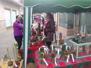 EL COMERCIO SALE A LA CALLE DÍA 9 DE DICIEMBRE