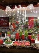 FLORISTERÍA LA CAMELIA 2